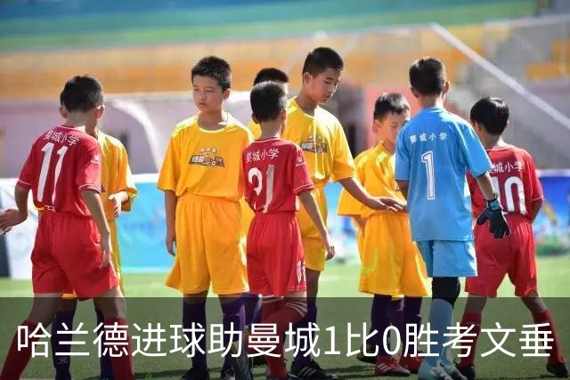 哈兰德进球助曼城1比0胜考文垂