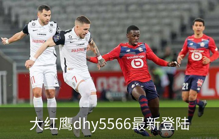 走进大红鹰dhy5566最新登陆