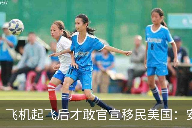 飞机起飞后才敢官宣移民美国：安踏前CEO徐阳的“体面告别”